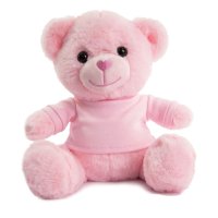 TB325-P: 25cm Pink Teddy Bear w/T Shirt